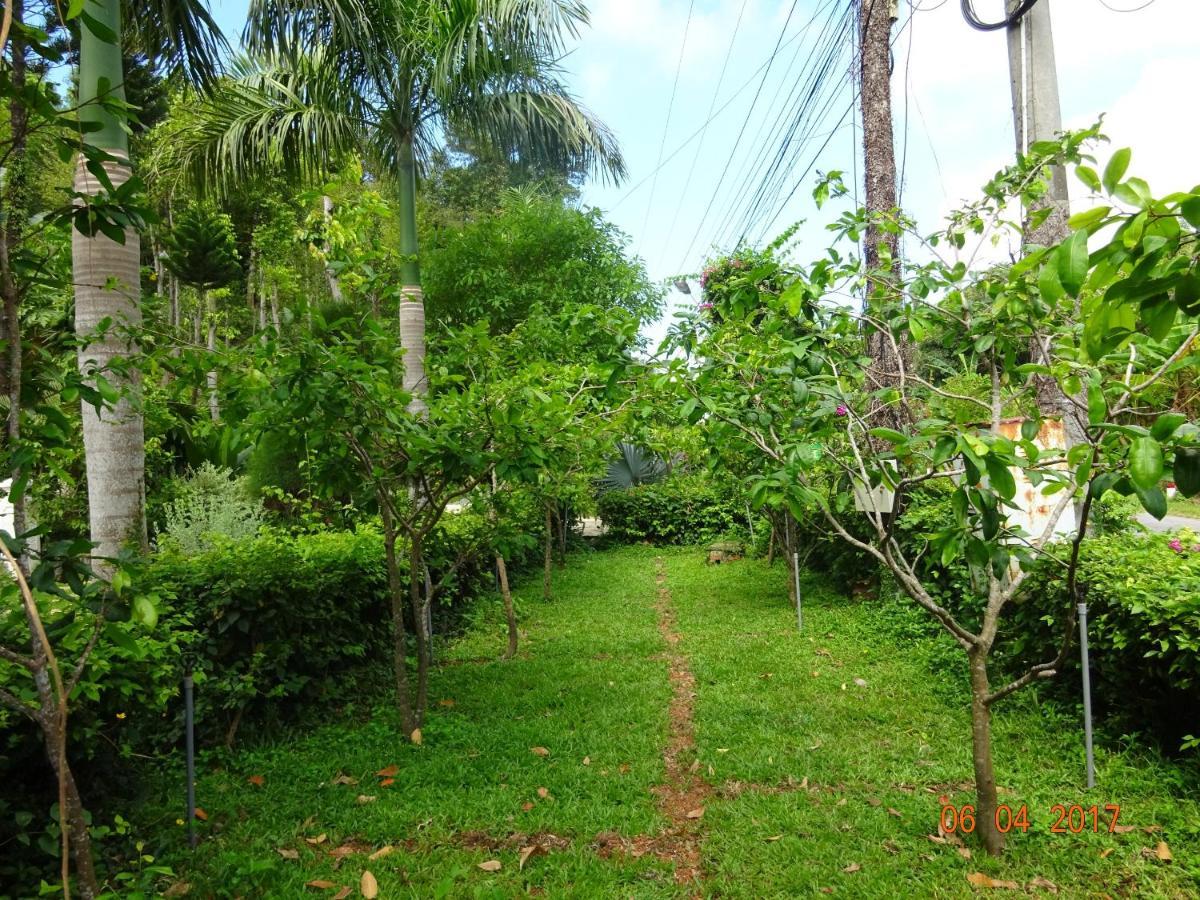 Green Hill Guest House Kien Luong Exterior photo